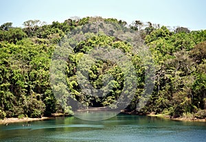 Green landscape of Panama Canal, view from the transiting cargo ship.