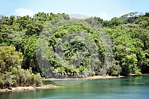 Green landscape of Panama Canal, view from the transiting cargo ship.