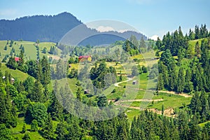 Green landscape in Rodna mountain photo