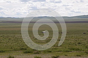 Green landscape in rural Mongolia. Yurta in the distance