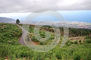 Green landscape of Tenerife island