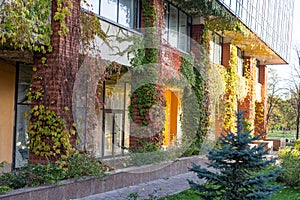 green landscaping near the facade of a business building