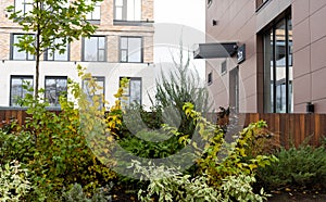 green landscaping near the facade of a business building