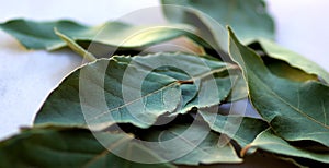 Green laurel leaf .