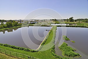 Green lawn around the pond