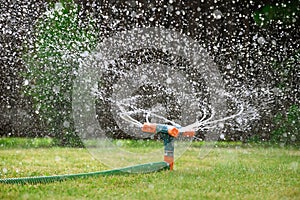 Green lawn automatic irrigation system in park. Watering lawn at heat summer.