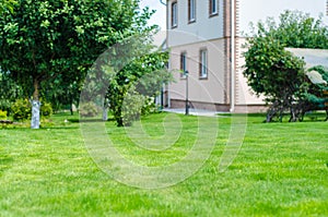 Green lawn backyard garden house