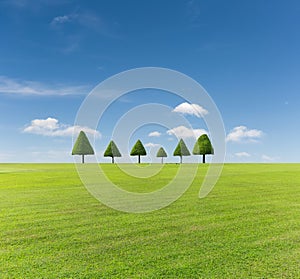 Green lawn and blue sky
