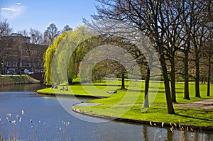 Green lawn on the canal bank