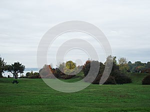 Green lawn, city park, autumn, Quebec, Canada