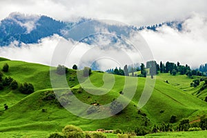 The green lawn and fog on the hillside in the summer valley meadows of Nalati photo