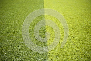 The green lawn in the football field has a dividing line in the middle and different colors