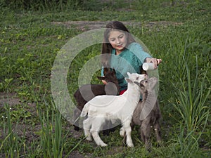 On a green lawn a girl with a feeding bottle filled with milk and three different colored baby goats