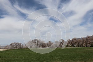 A green lawn and leafless trees in the distance with blue sky and swirling clouds overhead