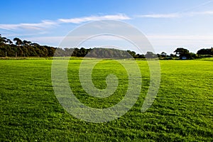 Green lawn at Margam country park grounds, Whales