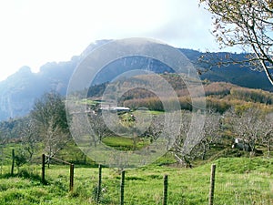 Green lawn on the Mount Faito in Italy