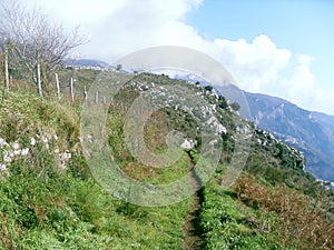 Green lawn on the Mount Faito in Italy