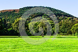 Green lawn and old trees at Margam country park grounds, Whales