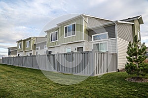 Green lawn with pine tree outside a residential area with fence