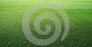 Green lawn soccer field floor background. Landscape outdoor sport