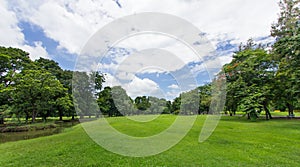 Green Lawn and Trees with blue sky at the public park