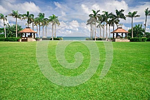 Green lawn in tropical resort