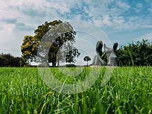 Green lawn with a view of a tree and a manument on a sunny day