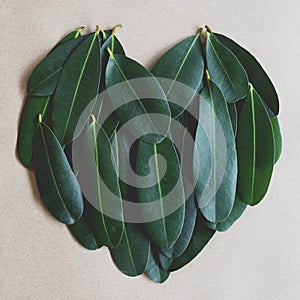 Green leaf arranged into heart shape texture background, ecology passion concept, 1:1