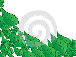 Green leaf background