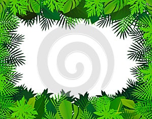 Green leaf background