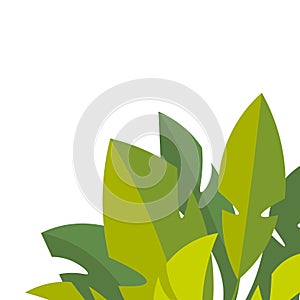 Green leaf background. Floral ground decorated bunch of light green leaves, decorative backdrop