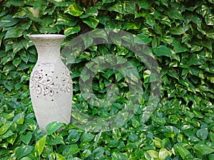 Green leaf background with old vase