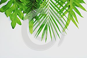 Green leaf background