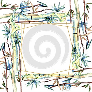 Green leaf of bamboo. Leaf plant botanical garden floral foliage. Frame border ornament square.