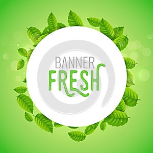 Green leaf banner vector background branch spring foliage nature forest illustration banner