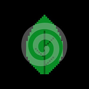 Green leaf on black background, pixel art vector icon