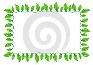 Green Leaf Border