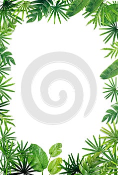 Green leaf border background