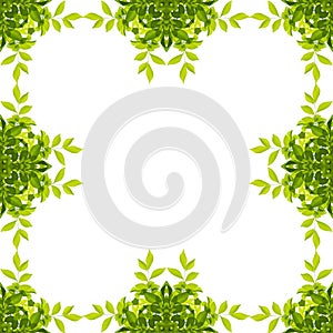 Green leaf border isolated on white background. Clipping paths i