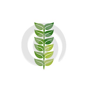 green leaf branch logo and vector icon