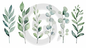 Green Leaf Branches Collection for Wedding Stationary and Greetings AI Generated