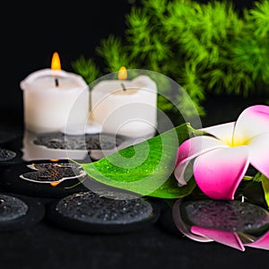 Green leaf calla lily, plumeria with drops and candles on zen st