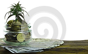 Green Leaf of Cannabis, Marijuana, Ganja, Hemp on a Bill 100 US Dollars. business concept. Cannabis leaf and Dollar