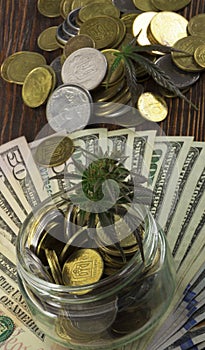 Green Leaf of Cannabis, Marijuana, Ganja, Hemp on a Bill 100 US Dollars. business concept. Cannabis leaf and Dollar