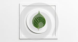 The simple composition emphasizes the natural beauty of the leaf