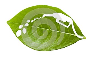 Green leaf with a cut out fuel