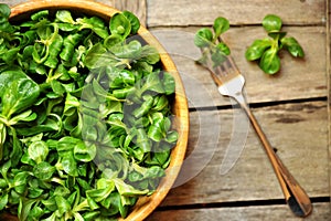 Green leaf diet concept with fresh valerian salad