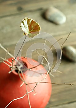 Green leaf on dry twigs in a clay vase and stones