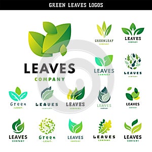 Green leaf eco design friendly nature elegance symbol and natural element ecology organic vector illustration.