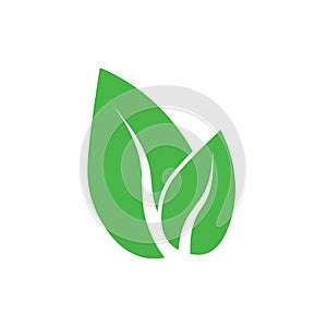 Green leaf, Eco icon. Vector illustration, flat design